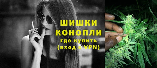 стафф Аркадак