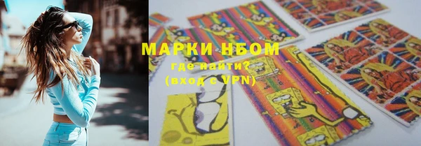 стафф Аркадак