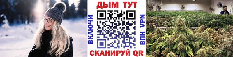 МАРИХУАНА ГИДРОПОН  Гвардейск 